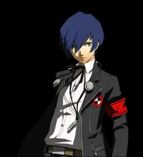 Banner for persona