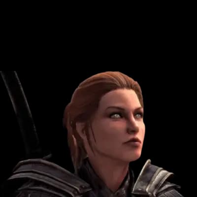 Banner for skyrim