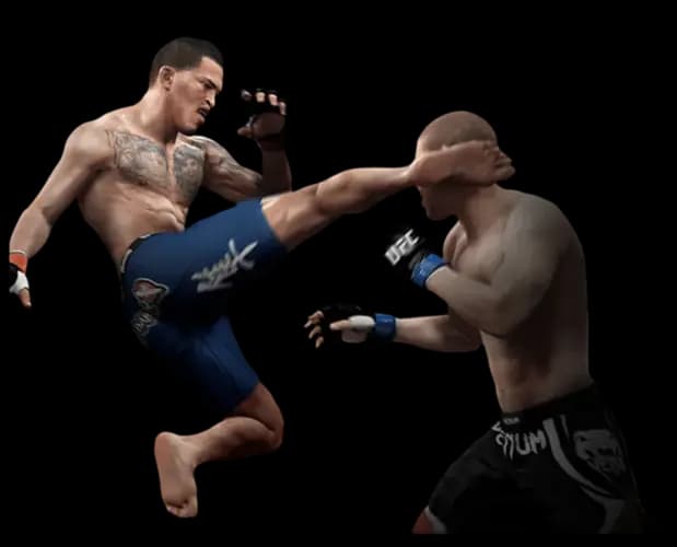Banner for ufc