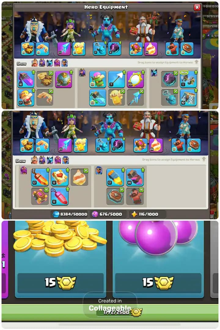 Fr/France Local Th17-Hero[95-95-74-70-25]-8xPets Max-50xHero,s Skin-League Medal[1772]-Core Defence Max-4xEpic Equipment