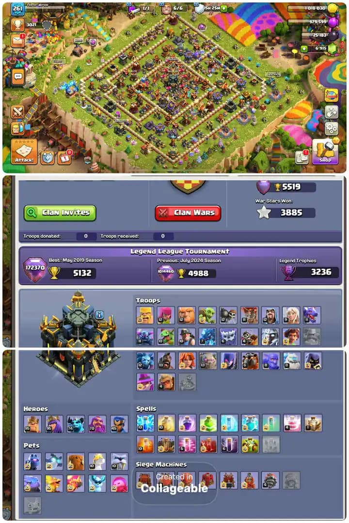 Fr/France Local Th17-Hero[95-95-74-70-25]-8xPets Max-50xHero,s Skin-League Medal[1772]-Core Defence Max-4xEpic Equipment