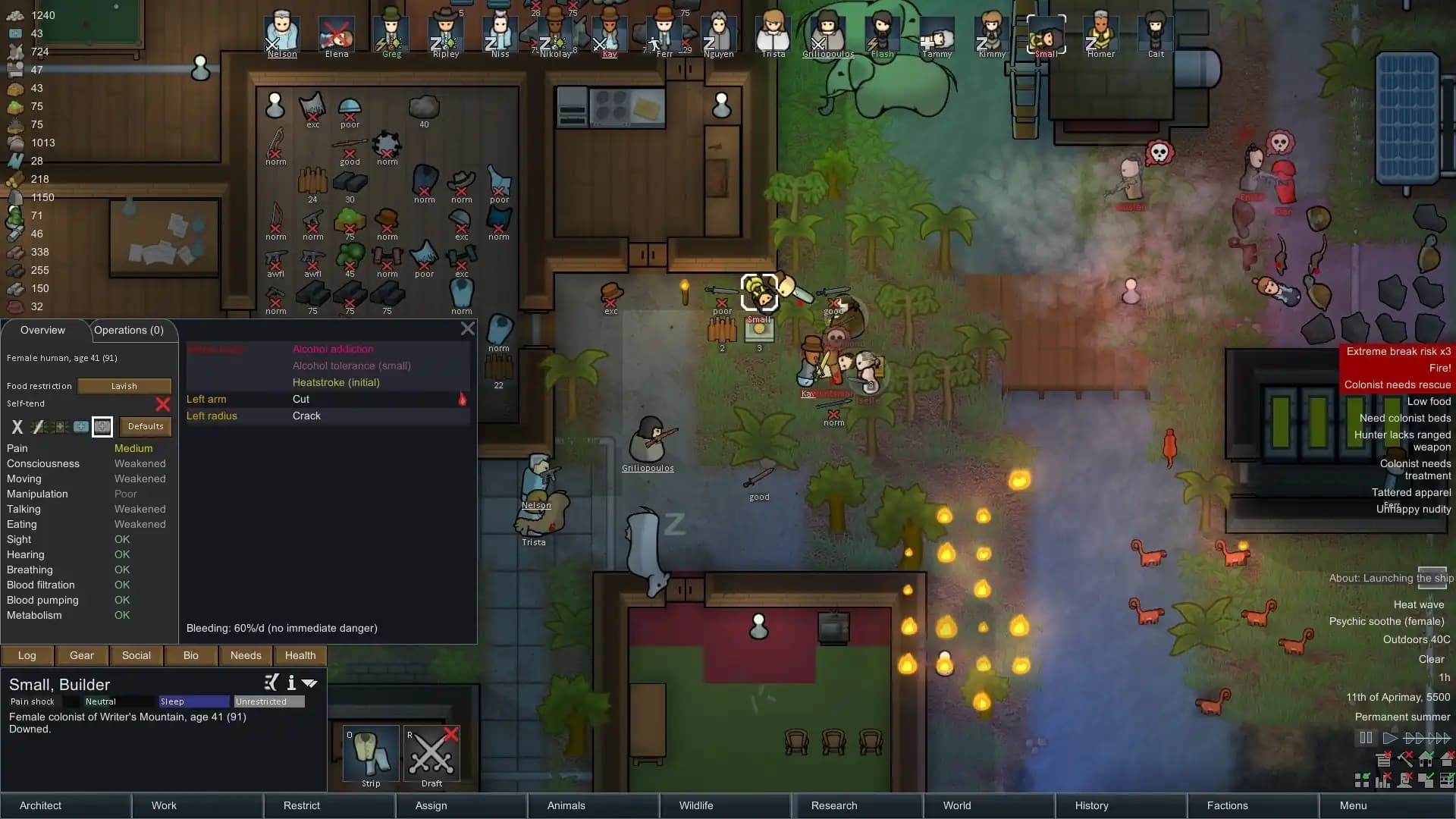 RimWorld - PC & Mac (Steam)