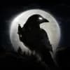 Night Crows logo