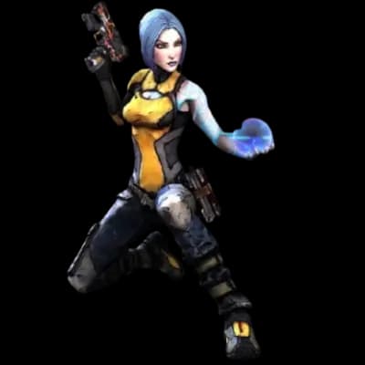 Banner for borderlands-2