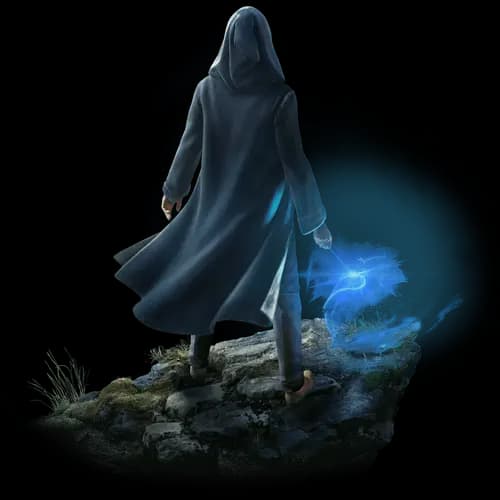 Banner for hogwarts-legacy